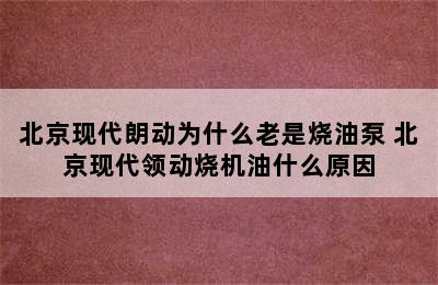 北京现代朗动为什么老是烧油泵 北京现代领动烧机油什么原因